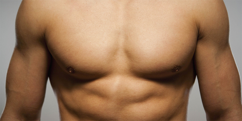 грудная клетка