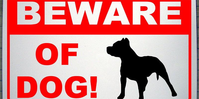 ОСТОРОЖНО! ЗЛАЯ СОБАКА!