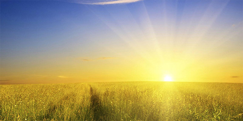 солнечный свет