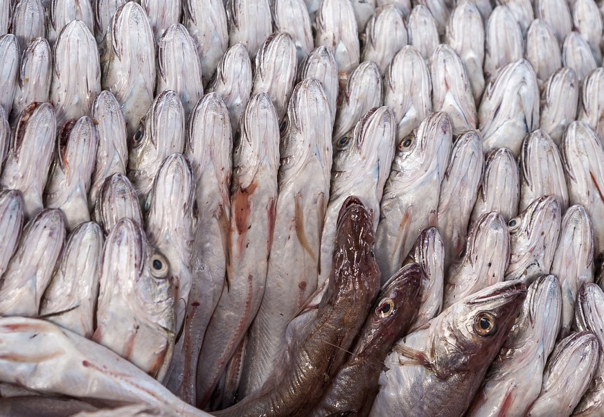 essential-english-idioms