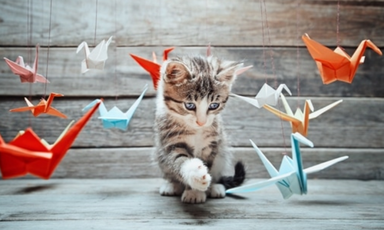 11 полезных английских слов для шопинга