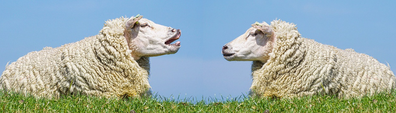 Список английских слов со спорным использованием