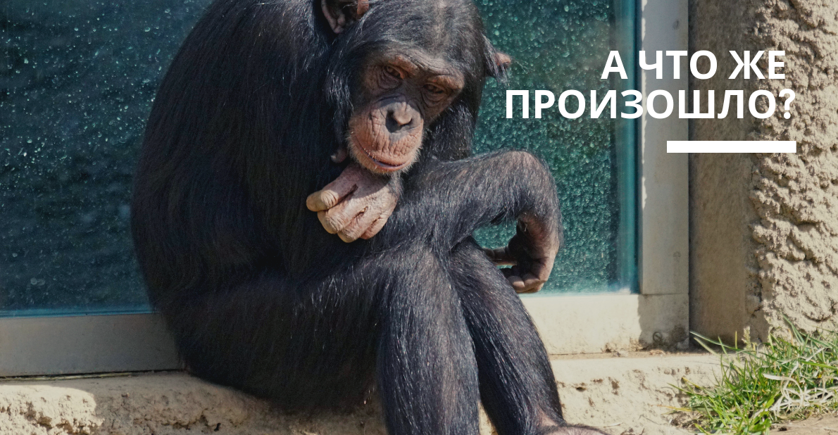 Как я чуть не потерял друга