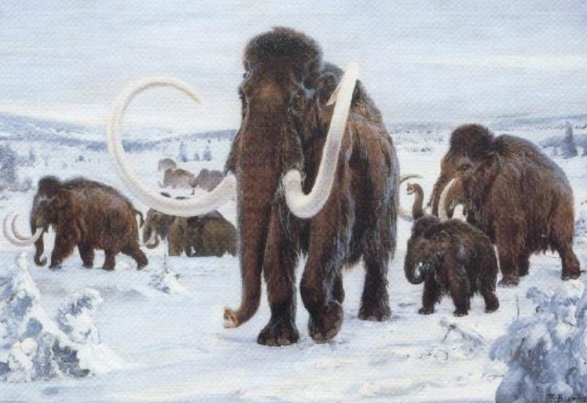 Mammoth