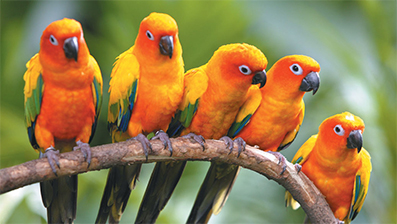 Химические элементы англ